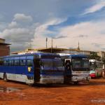 A couple of Cambodian buses parked in the bus yard, waiting to transport passengers.