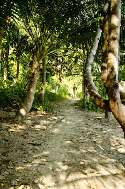 A shaded path A shaded path