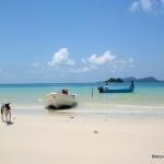 A stunning view of Long Set Beach on Koh Rong