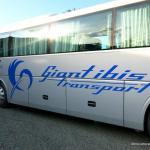 Giant Ibis bus