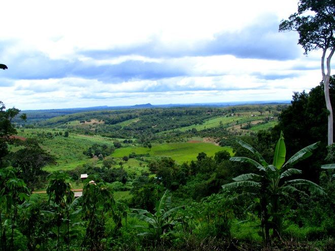 Ratanakiri jungle Ratanakiri