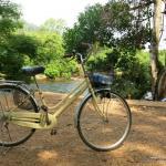 Cycling in Kampot