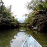 Kampot river Green Cathedral