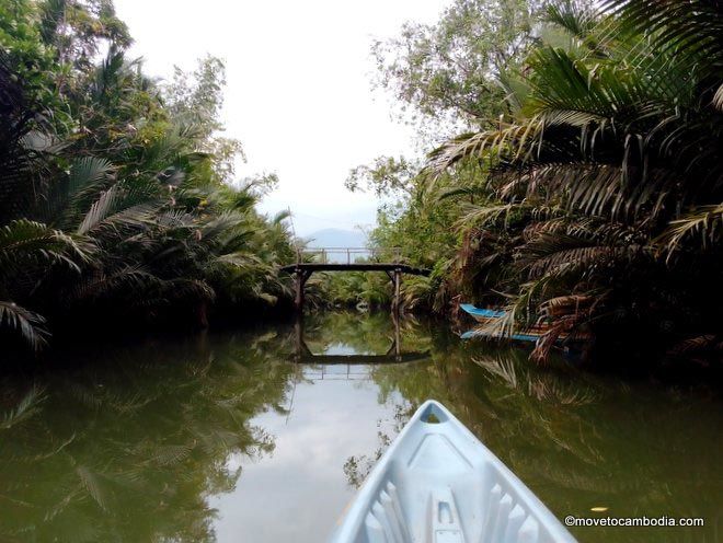 Kampot river Green Cathedral