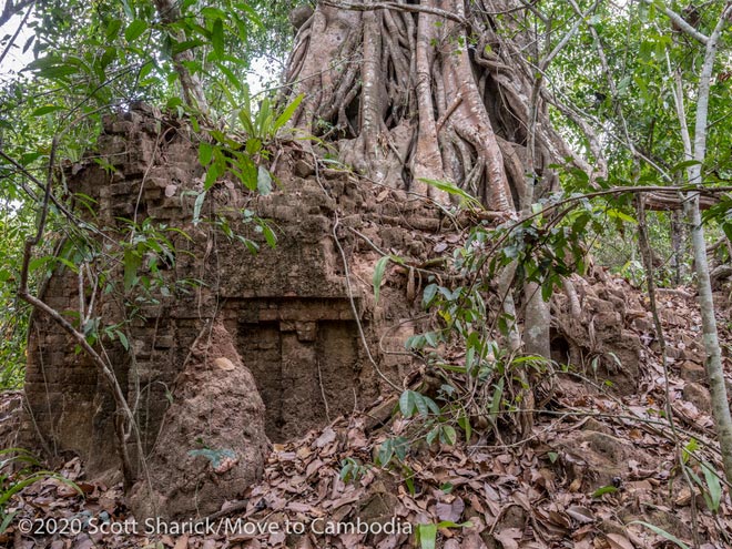 Cambodia jungle temple
