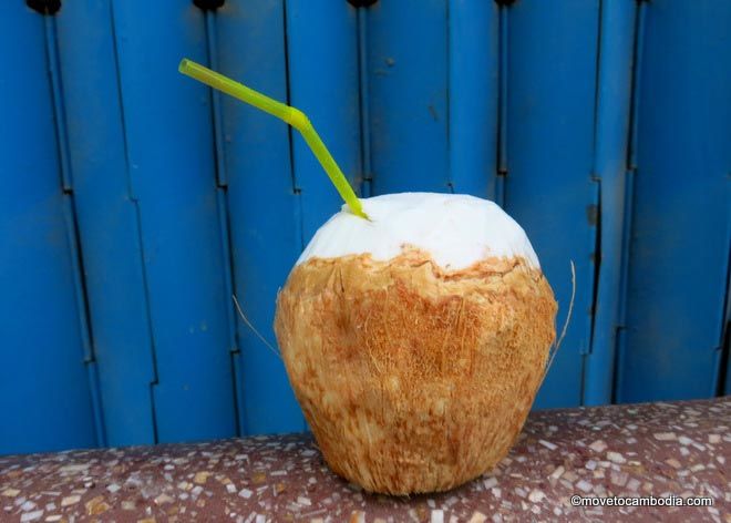 coconut with straw