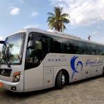 Giant Ibis bus Phnom Penh to Siem Reap